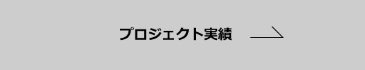 プロジェクト実績